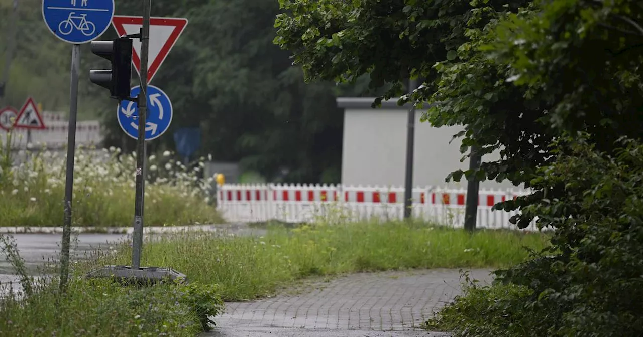 Prozess in Münster: Streit um Äste am Radweg – Grundstücksbesitzer muss zahlen