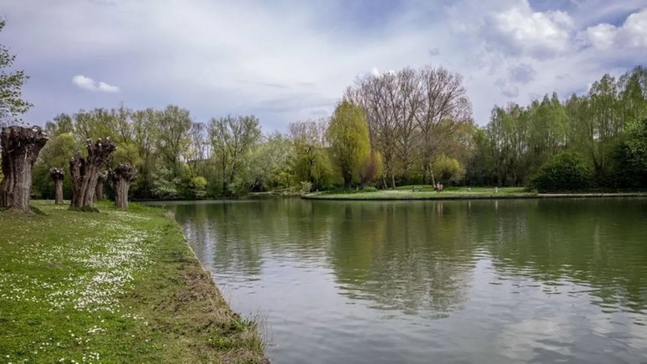 Anderlecht : le recours contre le permis d’environnement de l’étang de baignade de Neerpede rejeté