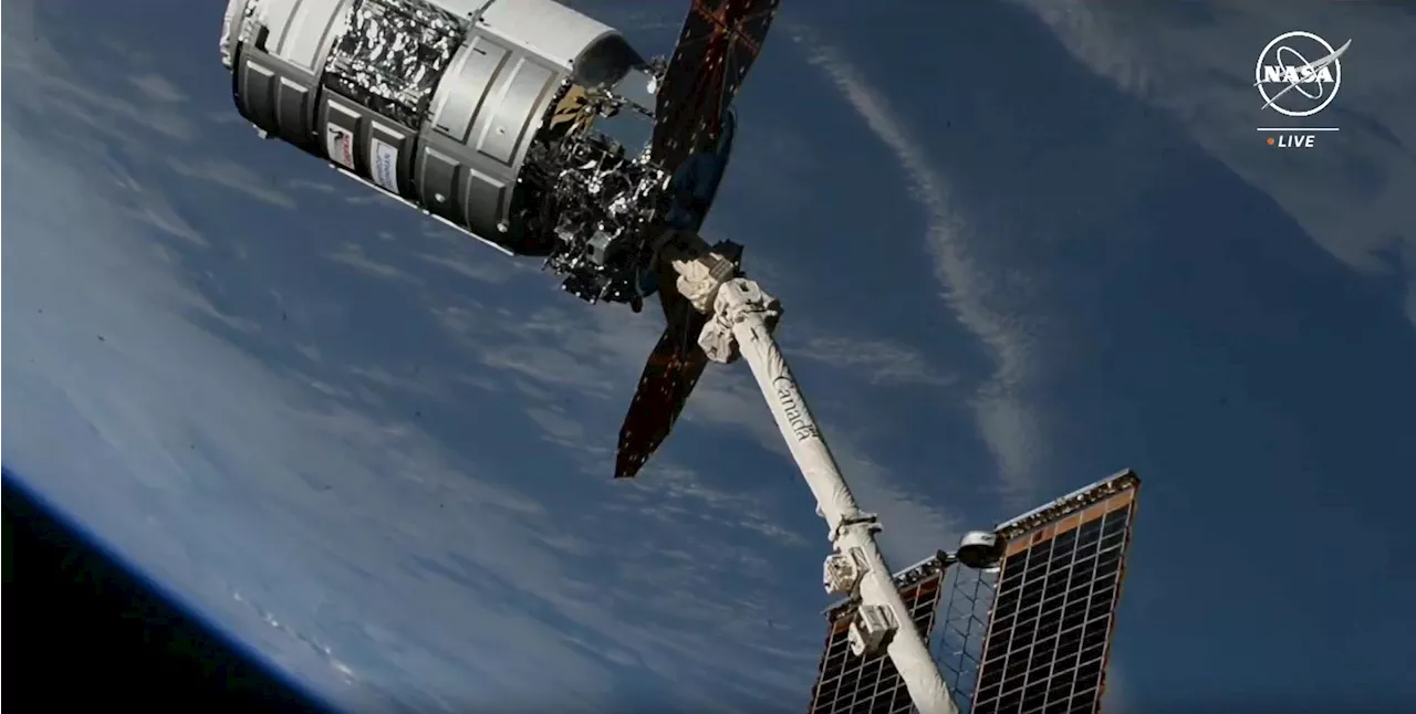 Cygnus’ Spectacular Space Delivery: Astronauts Unloading 8,200 Pounds of Science and Supplies