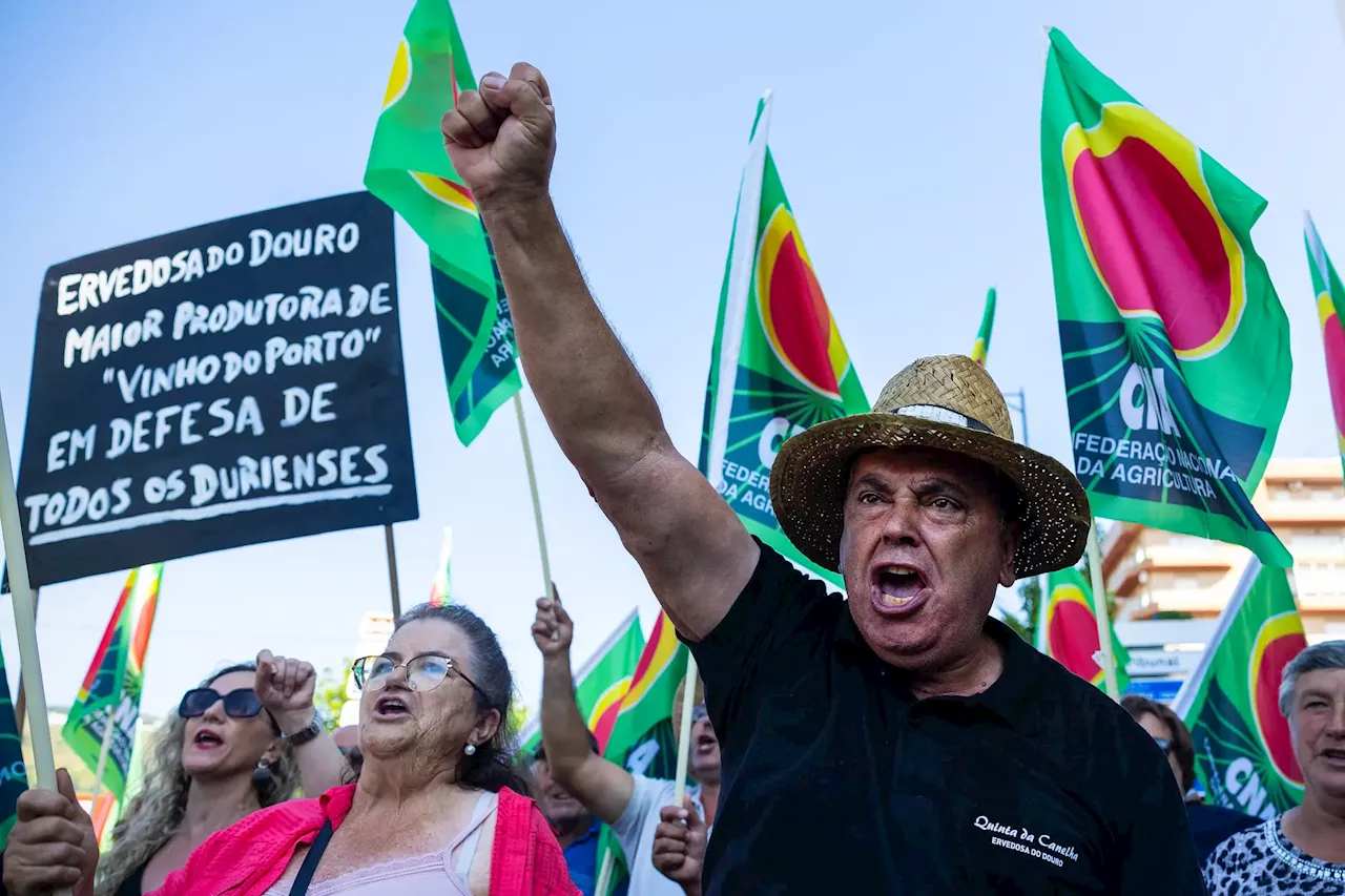 Mais de 500 viticultores do Douro protestam contra corte na produção de vinho do Porto