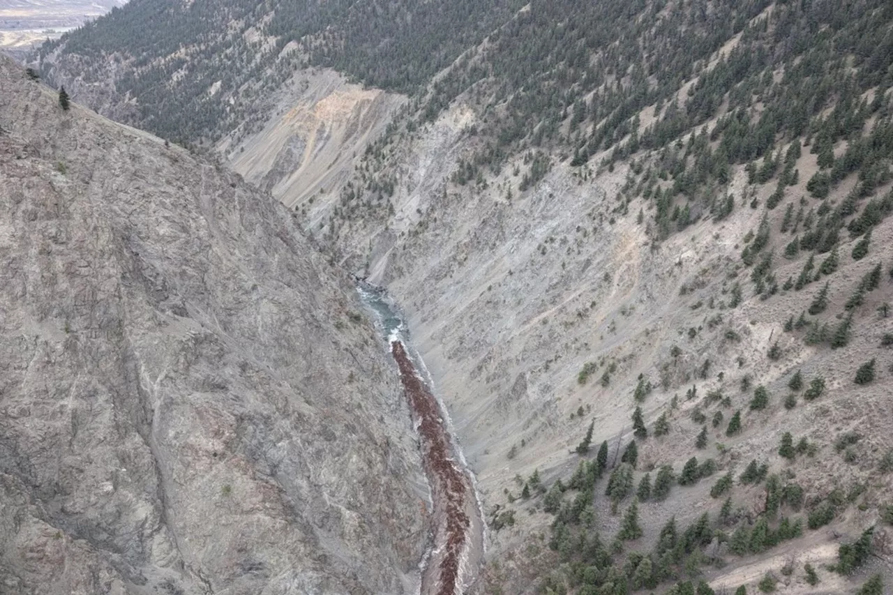 Residents describe sound of roaring river, breaking trees of B.C.'s landslide waters