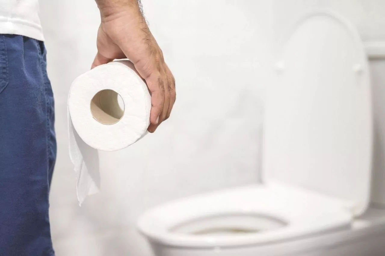 Fréquence des selles : combien de fois faut-il aller aux toilettes chaque jour ?