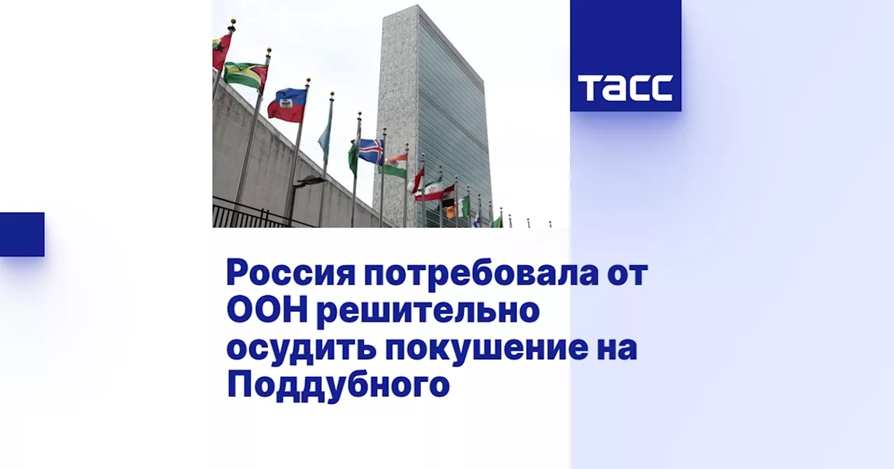 Россия потребовала от ООН решительно осудить покушение на Поддубного