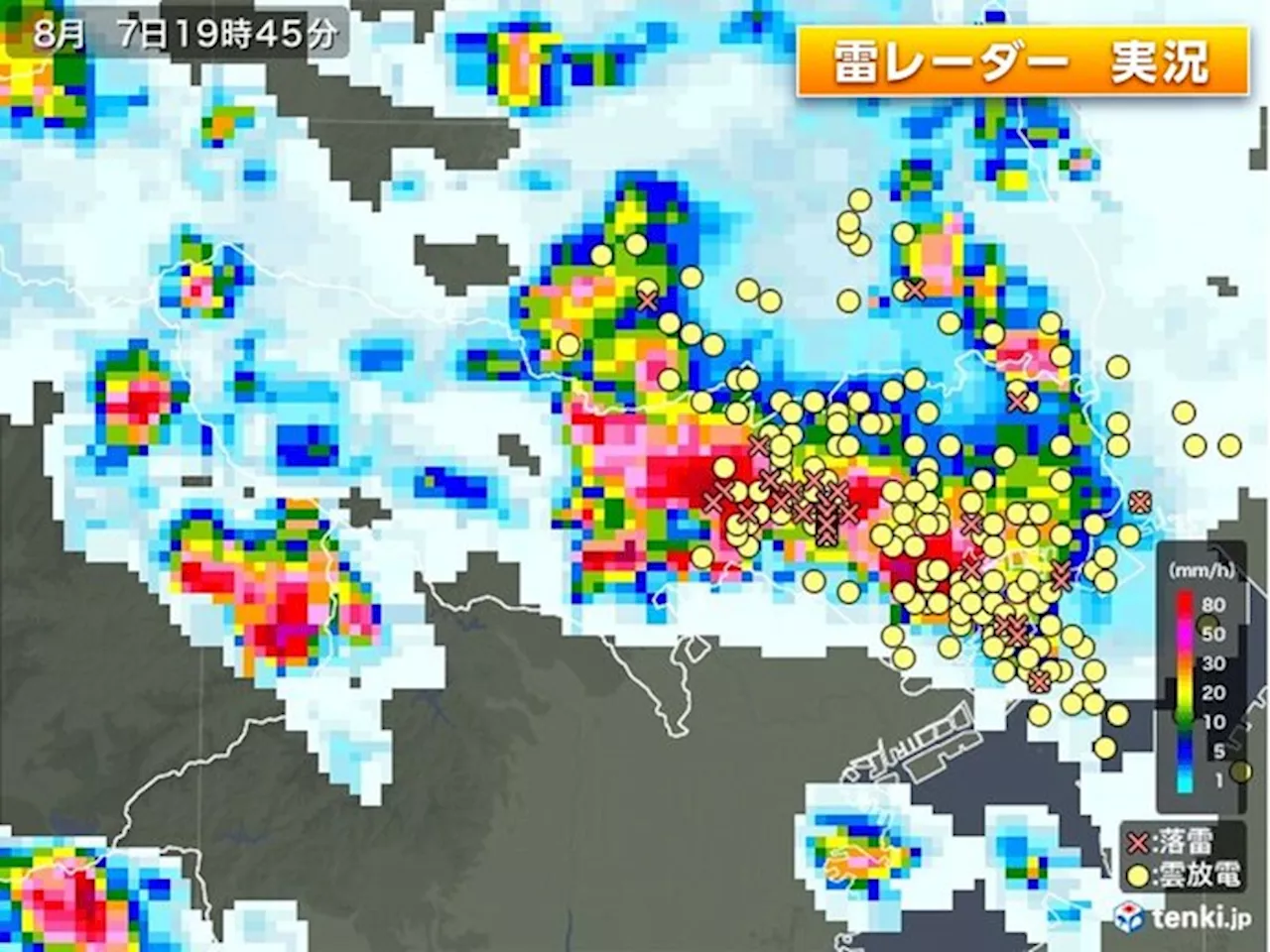 埼玉で猛烈な雨 東京23区でもゲリラ雷雨 帰宅ラッシュを直撃 停電への備えとは(気象予報士 日直主任 2024年08月07日)