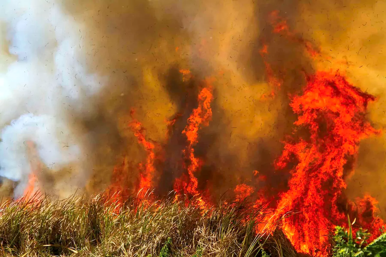 Veld fires cause widespread power outages in Johannesburg