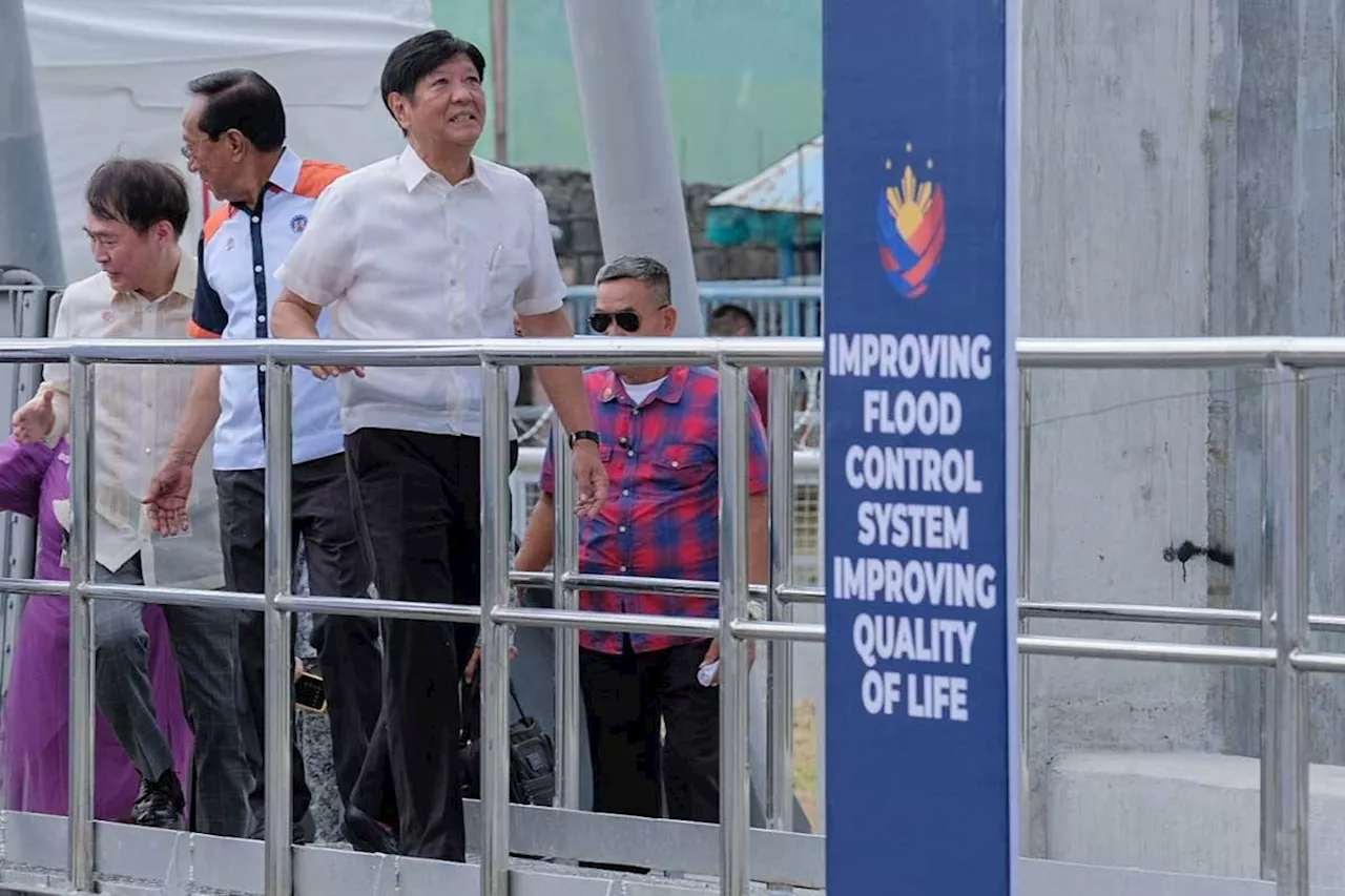 Fast completion of flood control projects vowed