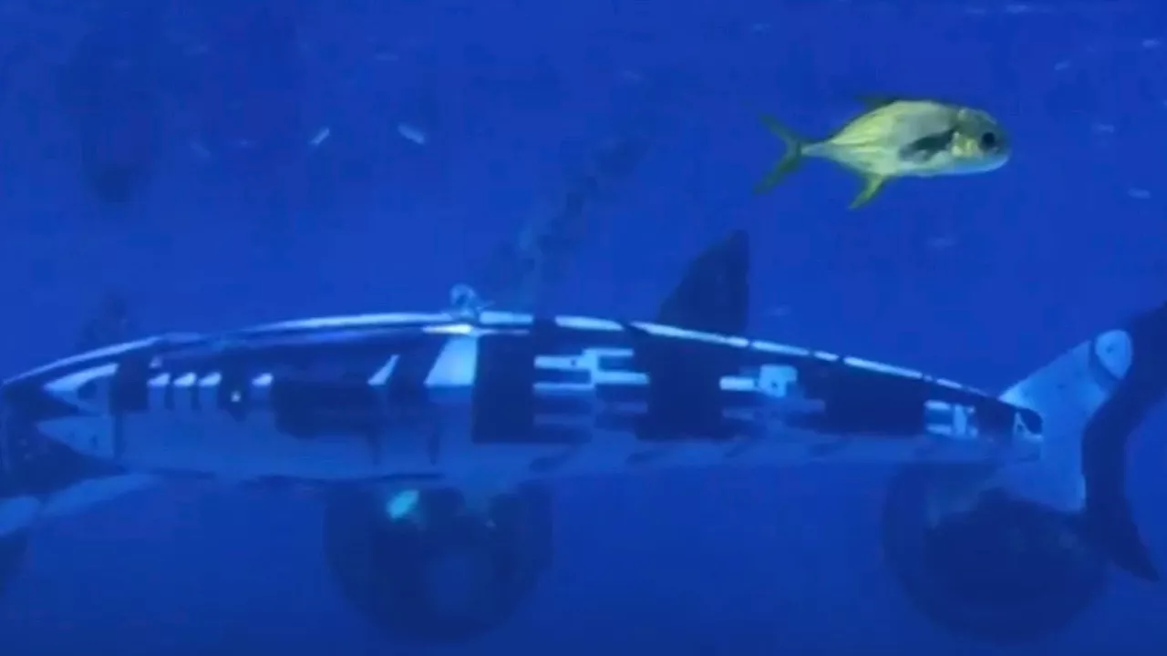 Sinister robot shark designed for ‘specialised missions’ unveiled by China capable of diving 65ft with cam...