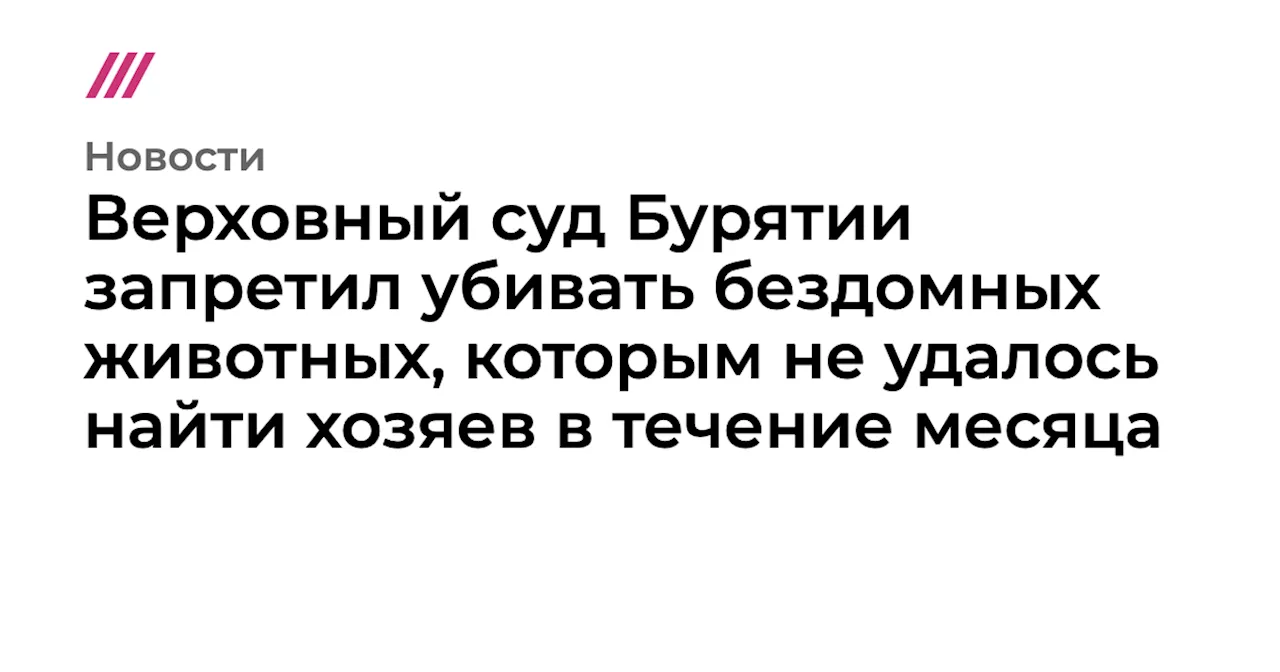 Верховный суд Бурятии запретил убивать бездомных животных, которым не удалось найти хозяев в течение месяца