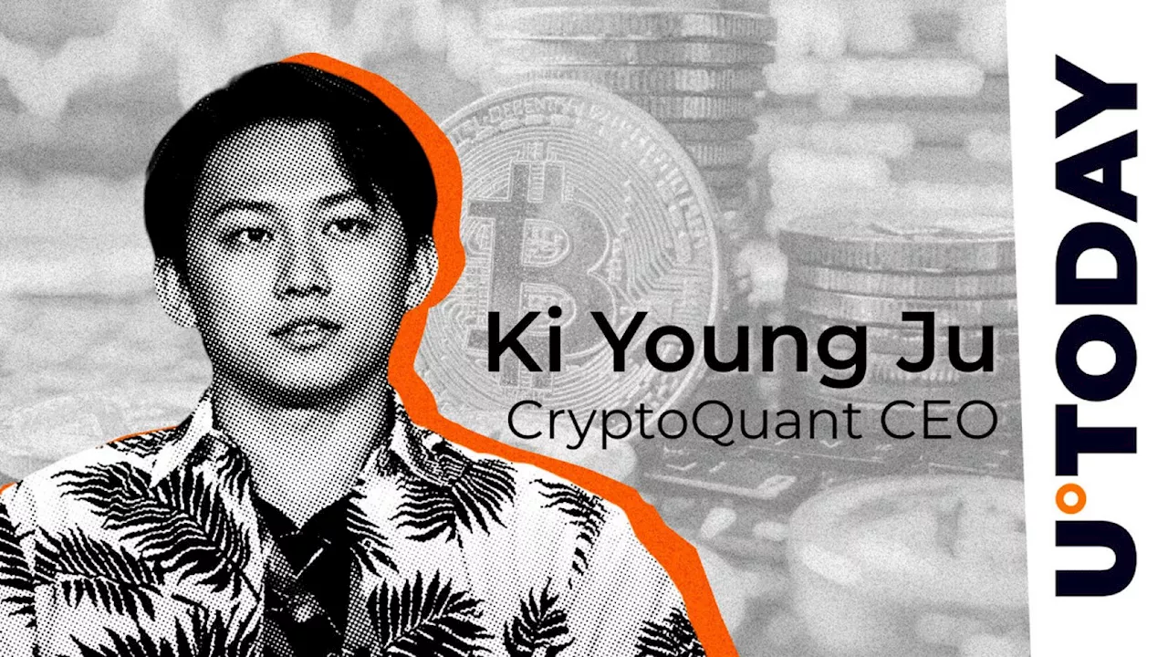 'Secret Bitcoin Plan' Spotted by CryptoQuant CEO as Half Million BTC Settles in Anon Wallets