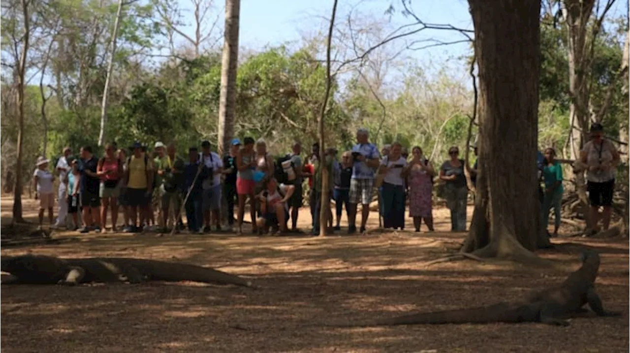 Taman Nasional Komodo Bakal Ditutup Secara Berkala, Ini Penjelasan Sandiaga Uno