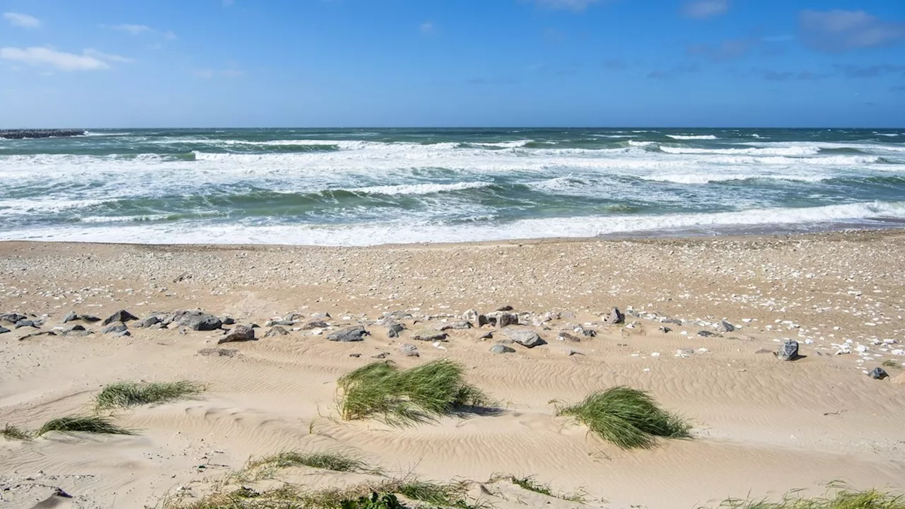 Nordsee: Spaziergängerin findet Knochen – 'erinnert an Menschen'