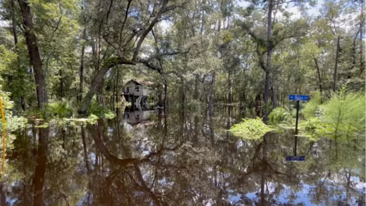 Homes stand above the Suwannee River on stilts in White Springs; Lake City residents eye damage from Debby