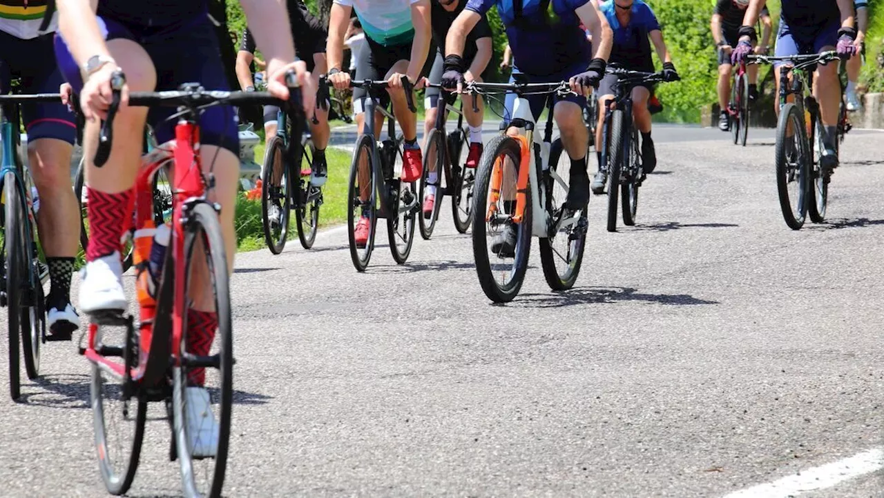 Fahrradhandel im SEO-Check: Wer fährt vorne mit?