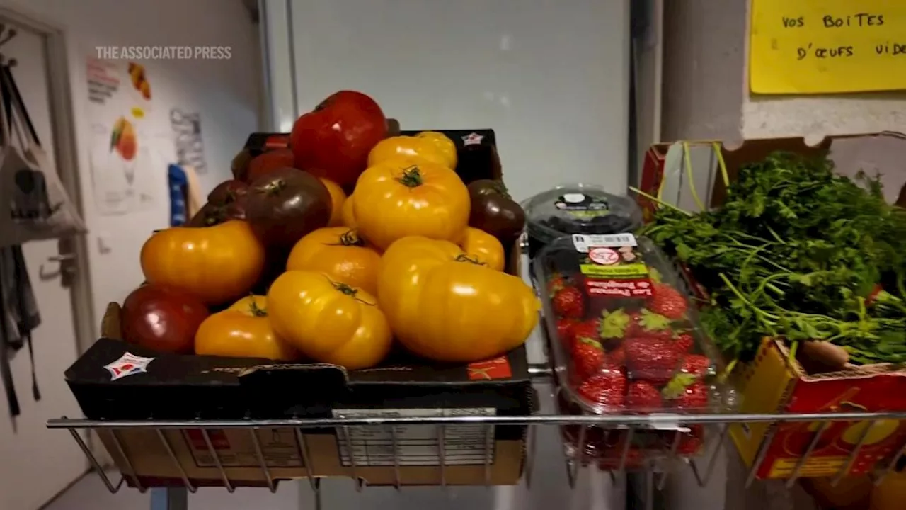 Food waste at the Paris Olympics is helping those in need and contributing to sustainability