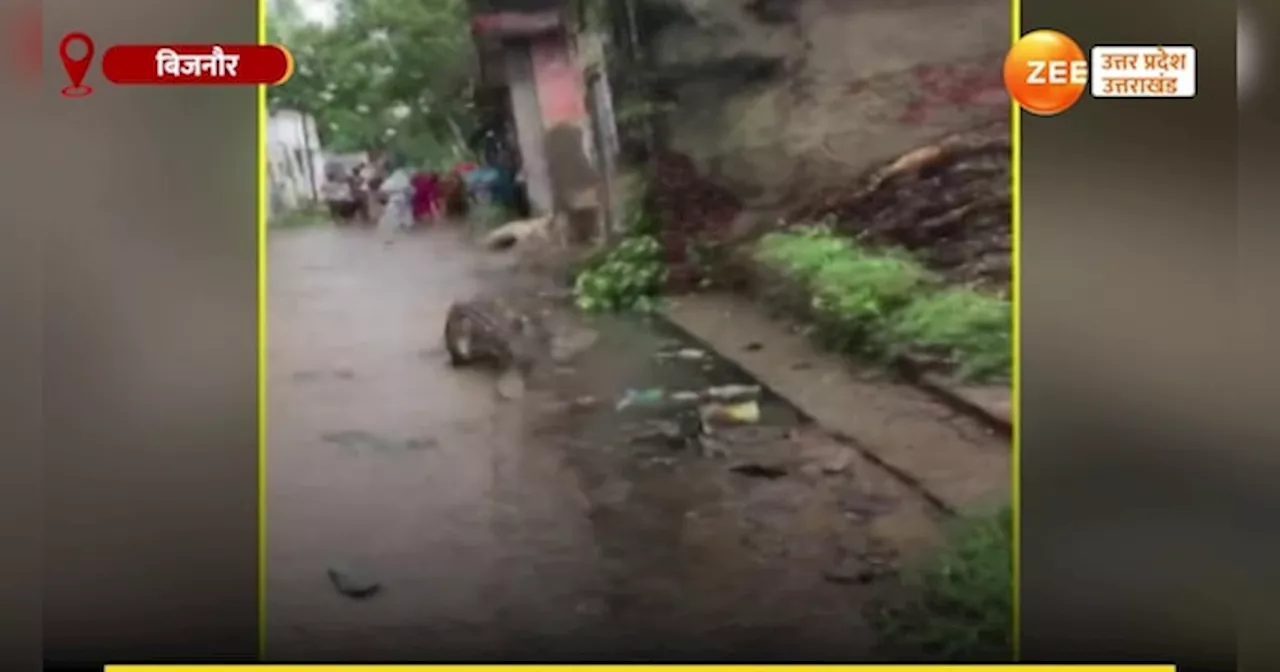 Crocodile Video: गांव की गलियों में टहलता दिखा मगरमच्छ, नजारा देख लोगों के छूटे पसीने