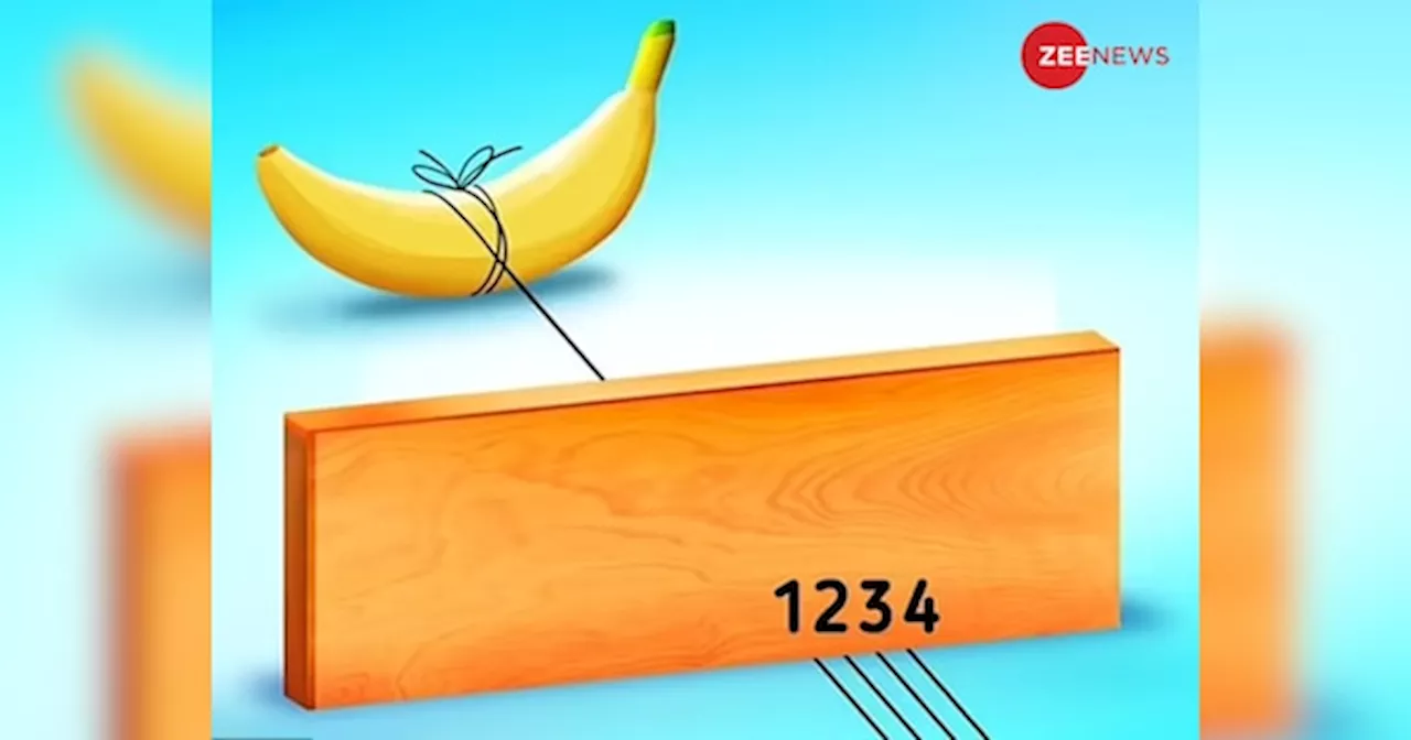 Optical Illusion: दिमाग को पंचर कर देने वाली तस्वीर, 7 सेकेंड में बताओ- किस रस्सी में बंधा है केला?