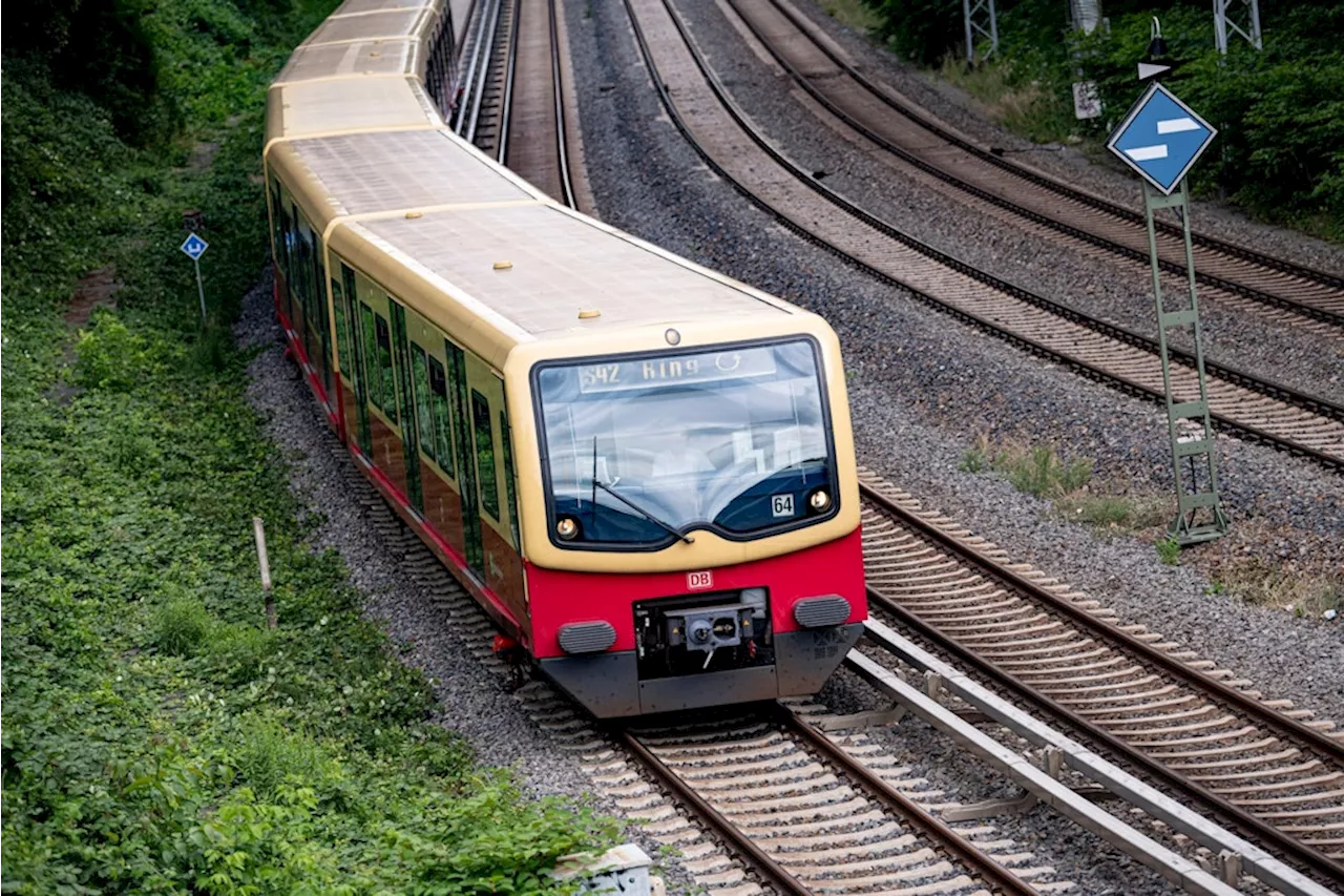 Berliner S-Bahn: Ausfälle und Verspätungen auf mehreren Linien wegen umgestürztem Baum