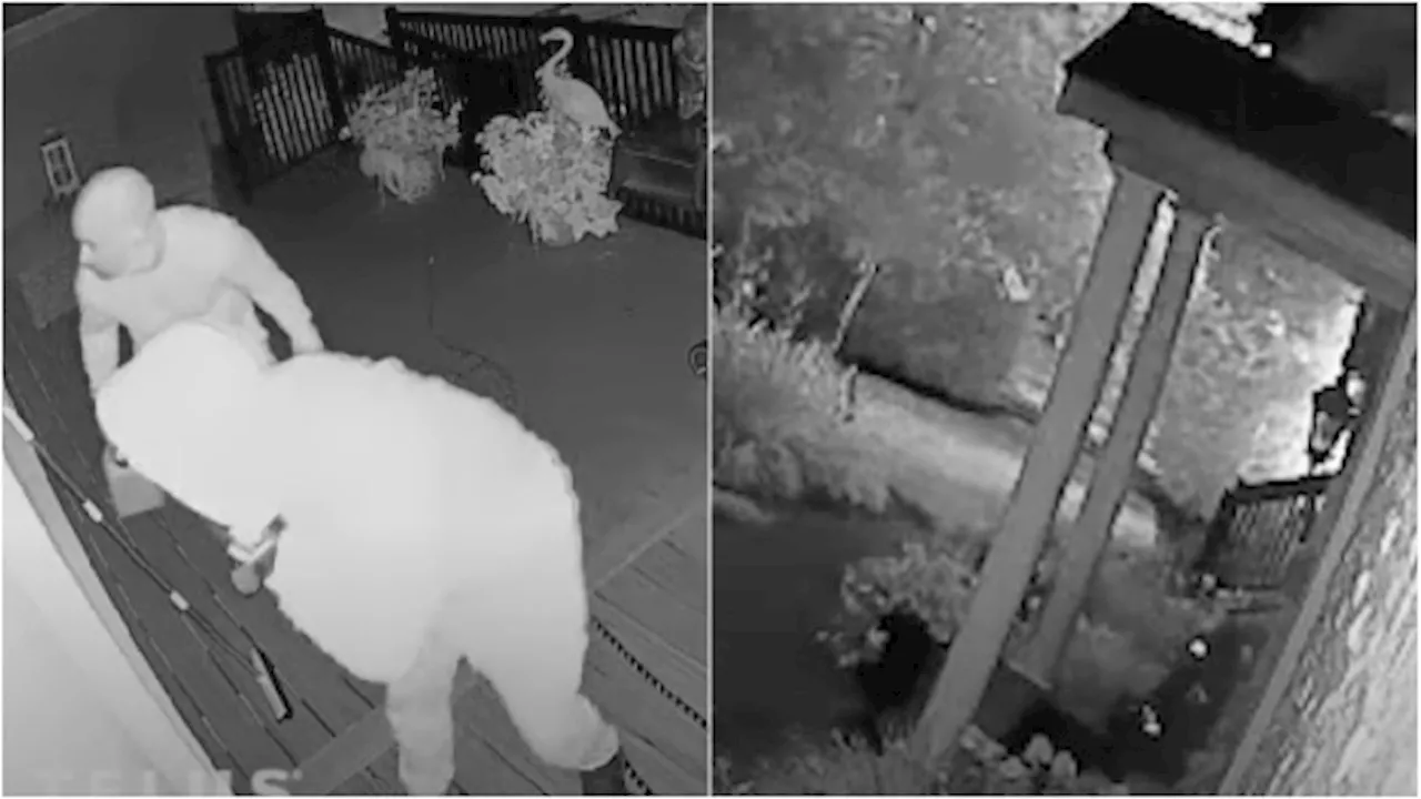 Video released of arson suspects allegedly setting fire to Toronto-area home