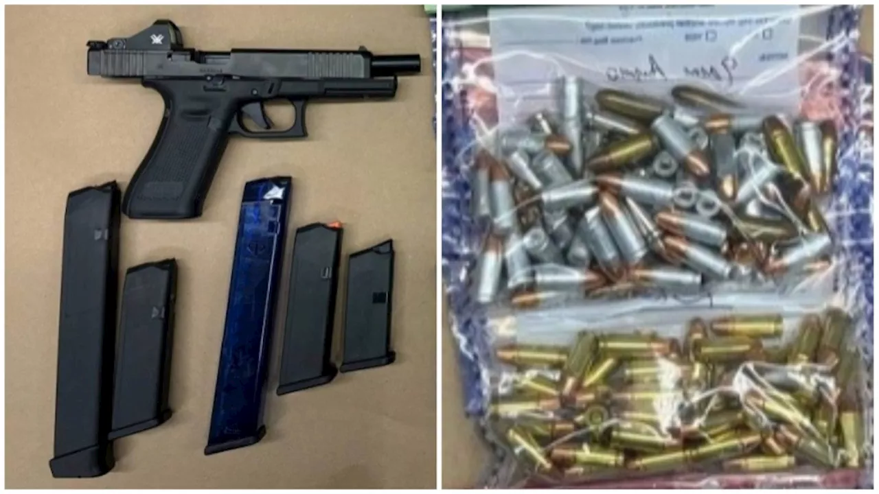 Alleged assault in North York leads to firearm, ammunition seizure: Toronto police