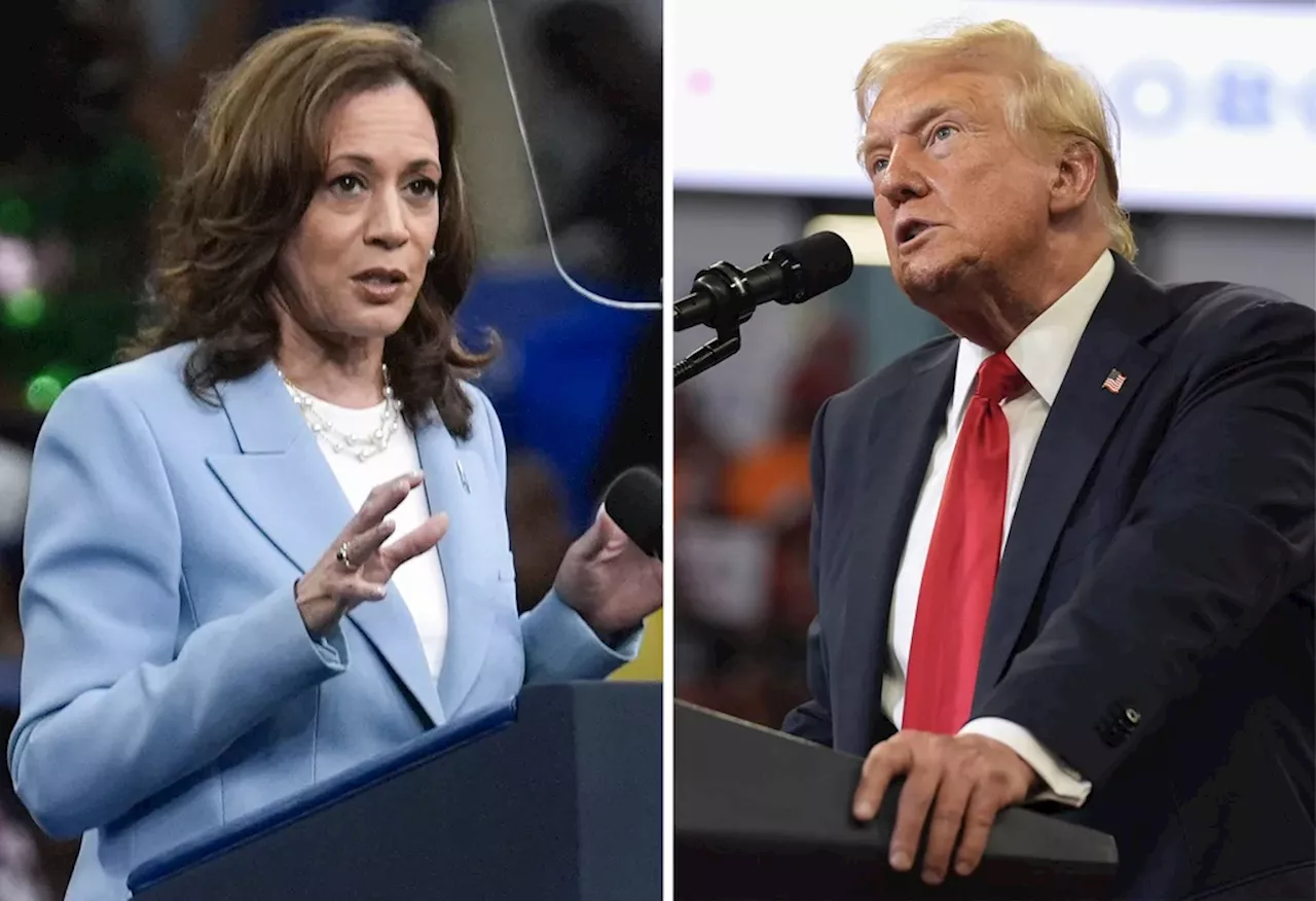 Harris and Trump tied in head-to-head race in Georgia: Poll