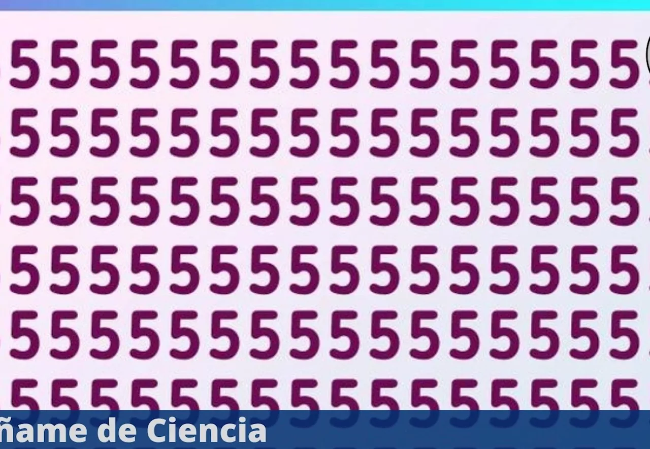 Acertijo visual FÁCIL: Encuentra el número 6 oculto entre los cinco en 10 segundos