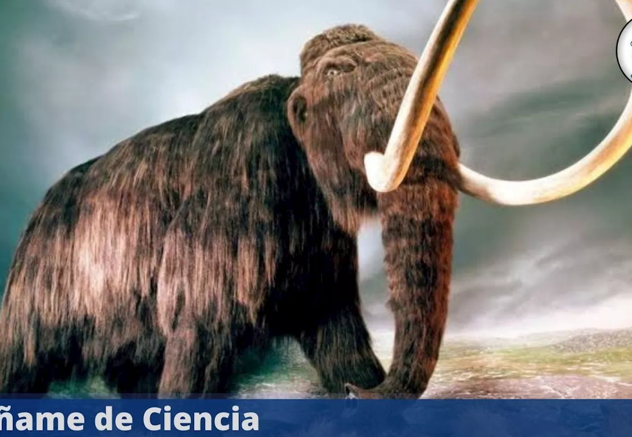 Hito historico, cientificos finalmente logran reconstruir el ADN de un mamut de hace 52.000 años