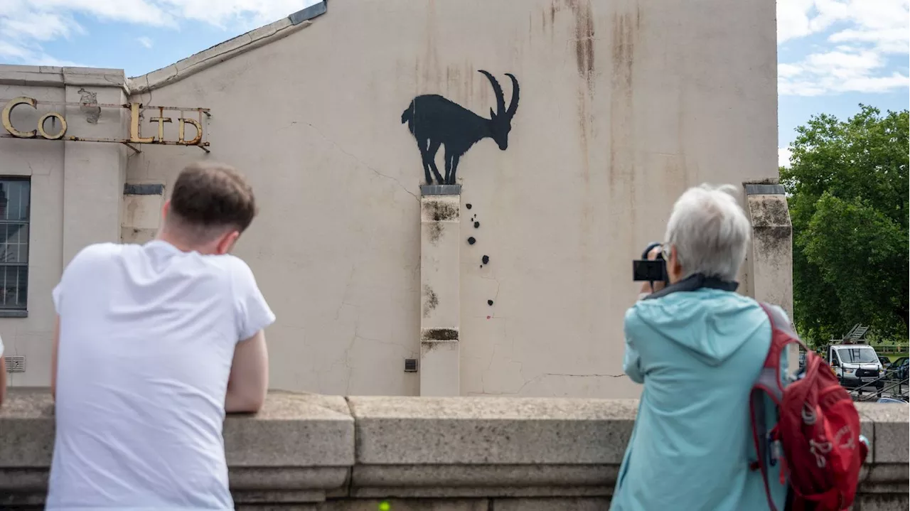 Une chèvre, des éléphants et des singes : des énigmatiques Banksy animaliers fleurissent à Londres