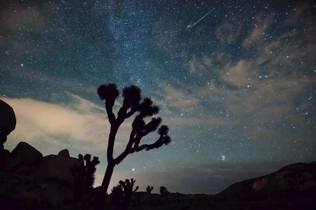 The Perseids Are Back: How to Watch One of the Best Meteor Showers of the Year