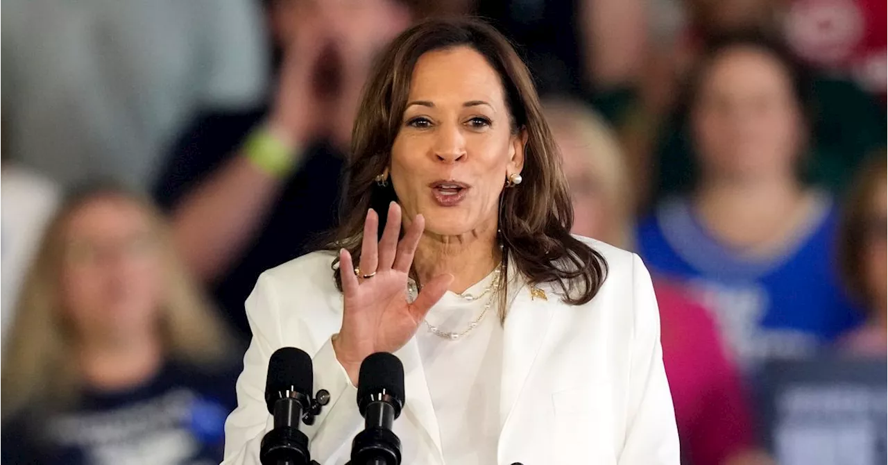 Kamala Harris Stops Rally Crowd's 'Lock Him Up' Chant With Perfect Reminder About Trump