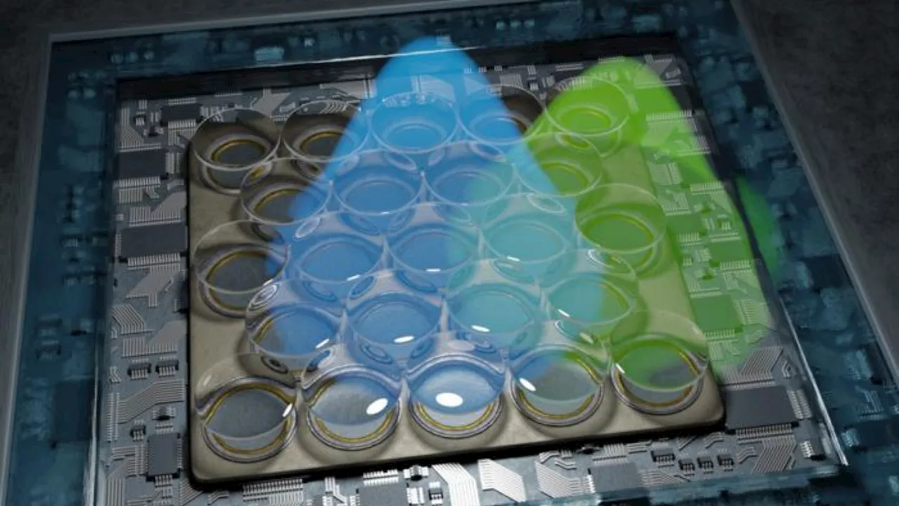 New microscope with 5 nanometer resolution can reveal tiniest cell process