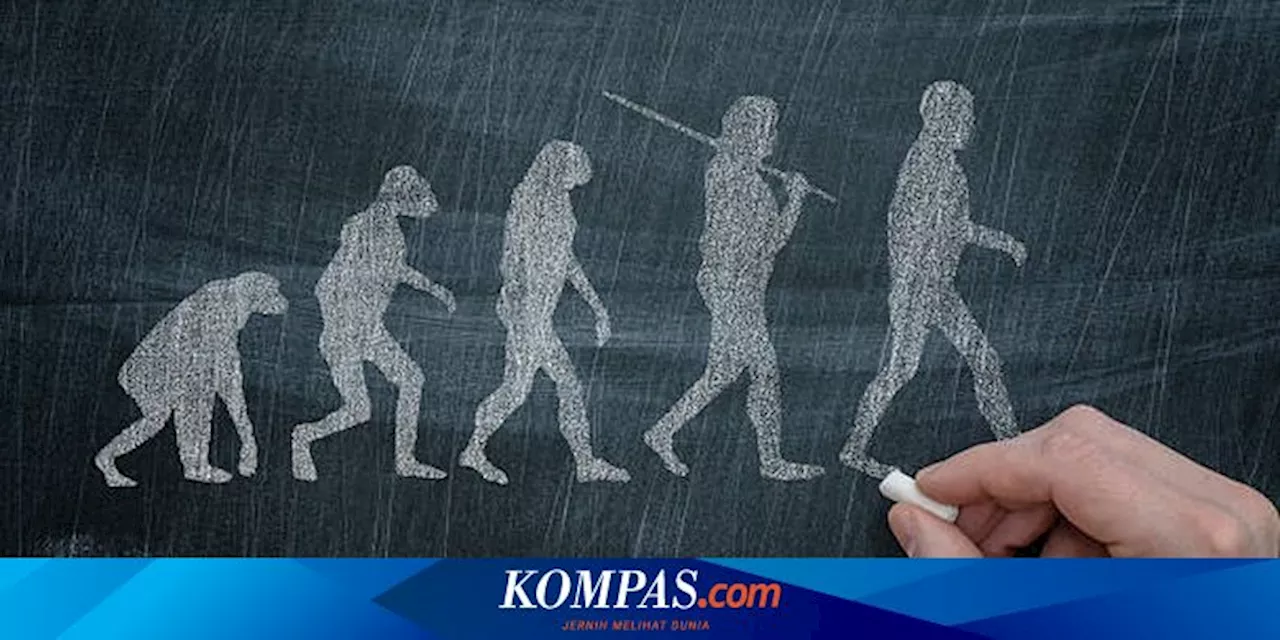 Mengenal 7 Spesies Manusia Sepanjang Sejarah Evolusi