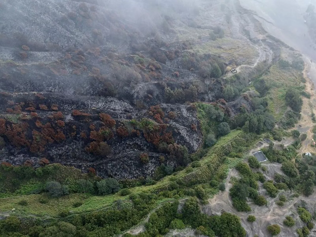 Kawasan Gunung Bromo Terbakar Lagi, Tim Gabungan Gerak Cepat Padamkan Api