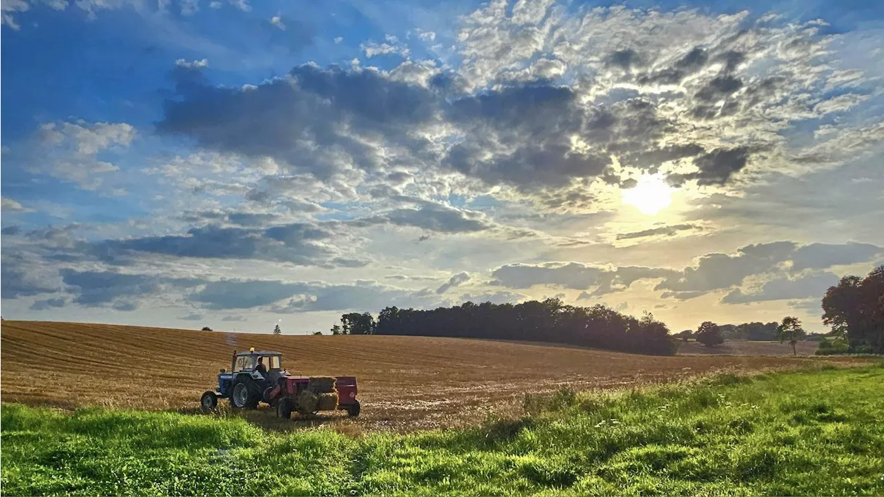 Météo en Belgique : ciel variable, températures de saison pour ce jeudi