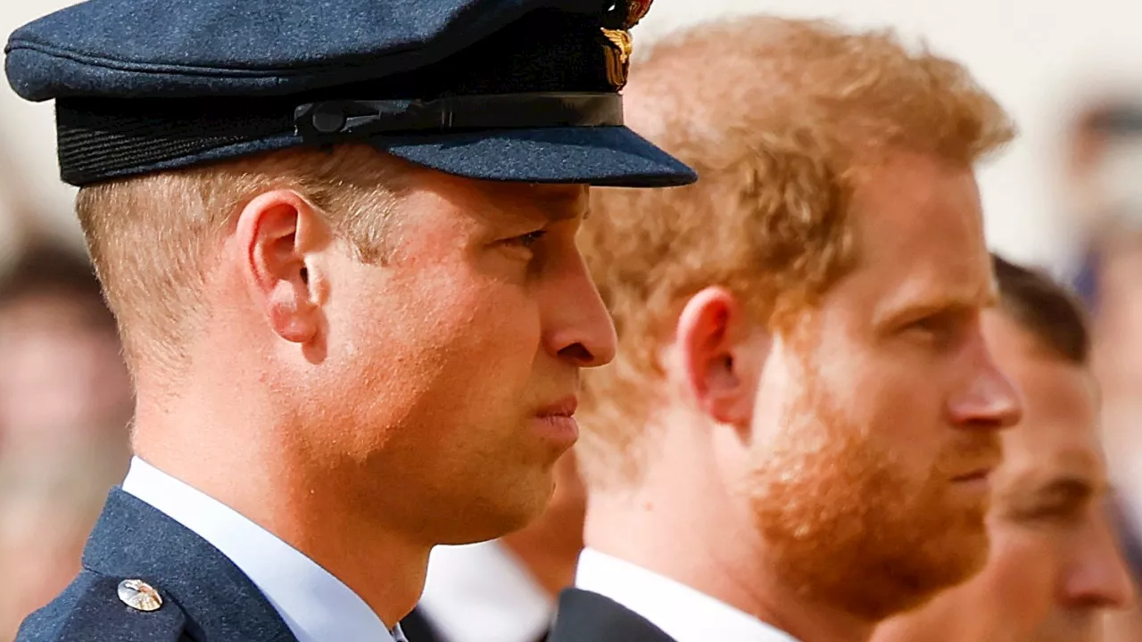 Major royal ‘peacemaker’ could convince William and Harry to mend bitter rift