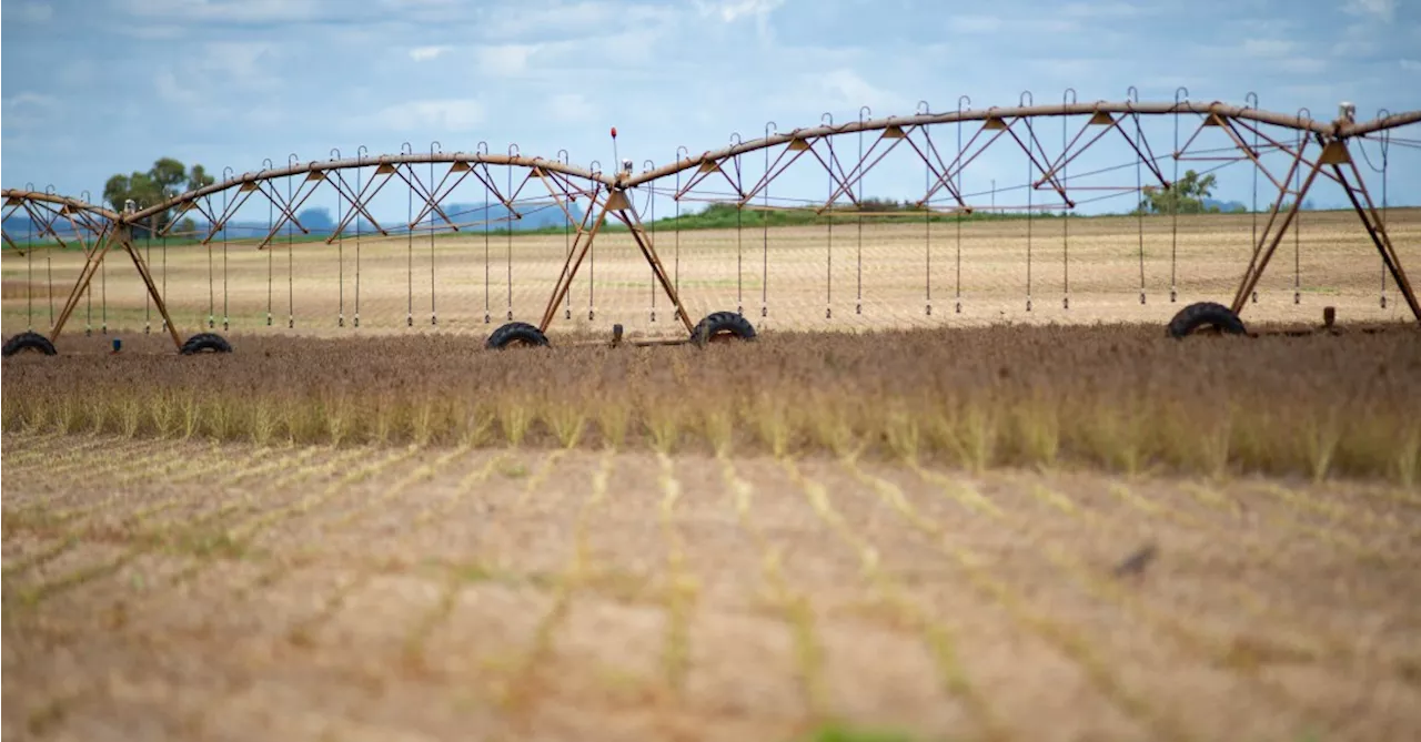 Quais seriam os pontos fortes e os pontos de melhoria do agro?