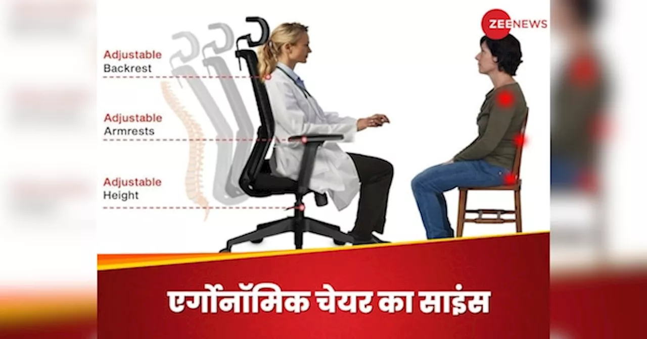 एर्गोनॉमिक चेयर सही सिटिंग पोश्चर से साथ पीठ दर्द से कैसे बचाता है? जानिए इसके पीछे का साइंस