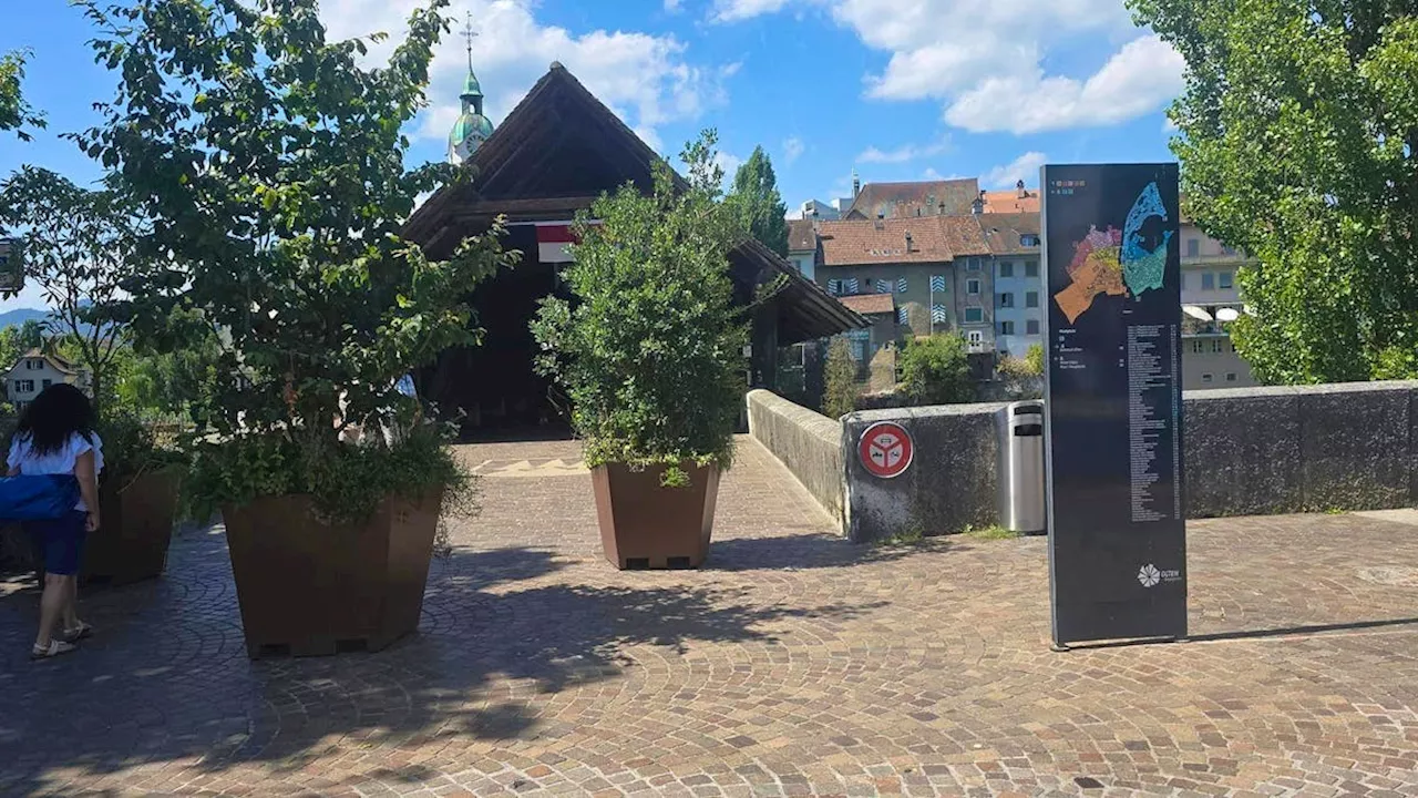 Olten: Riesige Blumentöpfe vor Holzbrücke sorgen für Verwirrung