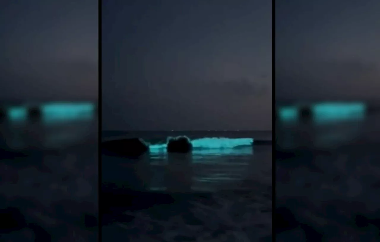 Loire-Atlantique : Une étonnante lumière bleu fluo aperçue dans l’océan