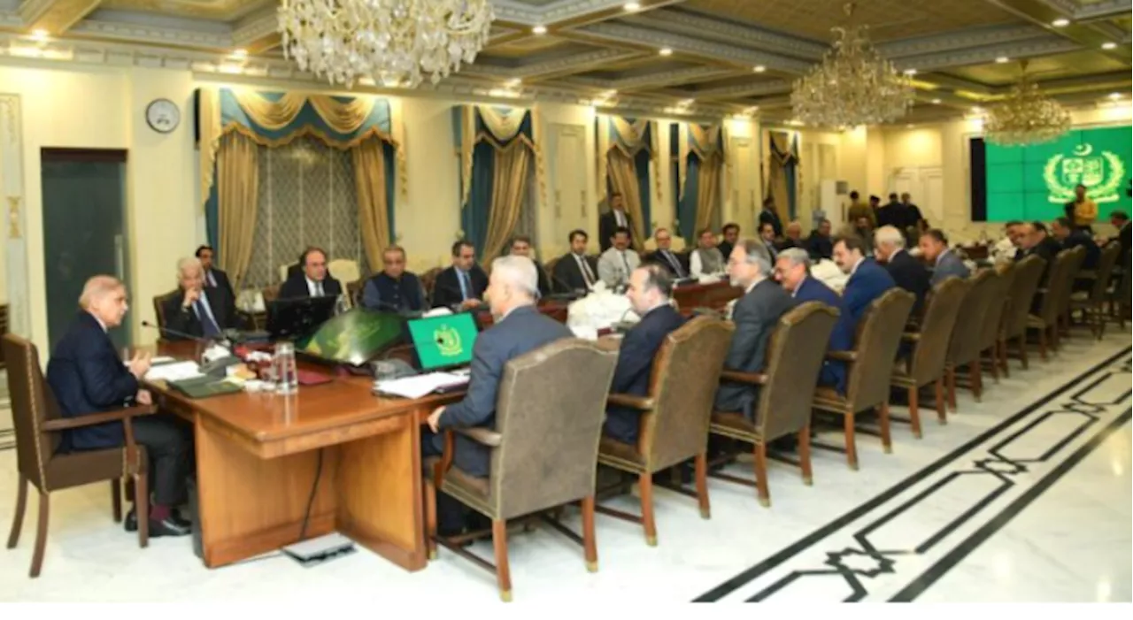 PM Shehbaz orders maximum facilitation of Turkish investors