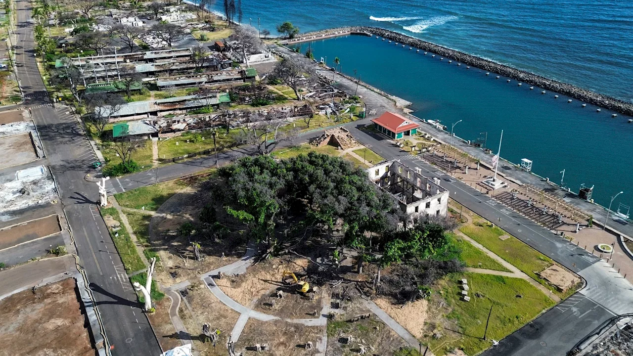 Maui wildfires a year later: The major developments amid the cleanup and recovery