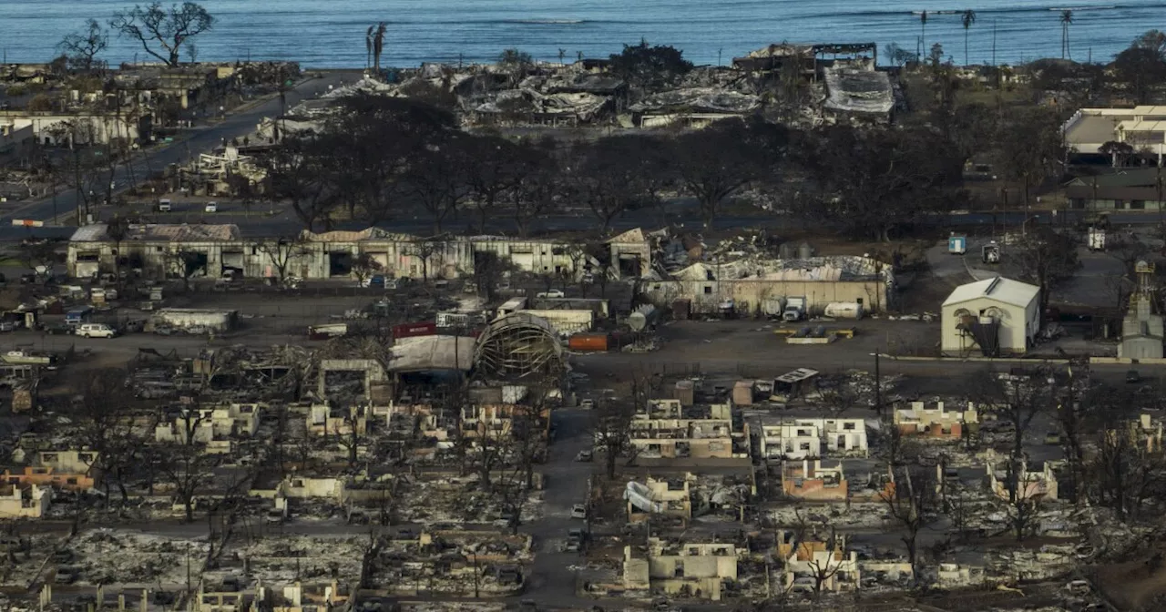 Arizona native hoping visitors can help Maui rebuild one year after devastating wildfires