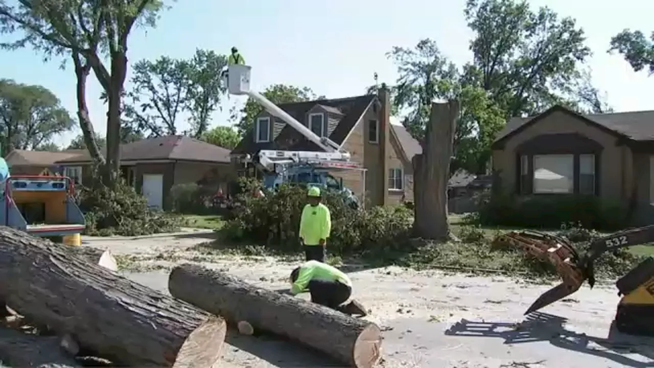 July storm set record with 32 tornadoes in Chicago area, weather service confirms