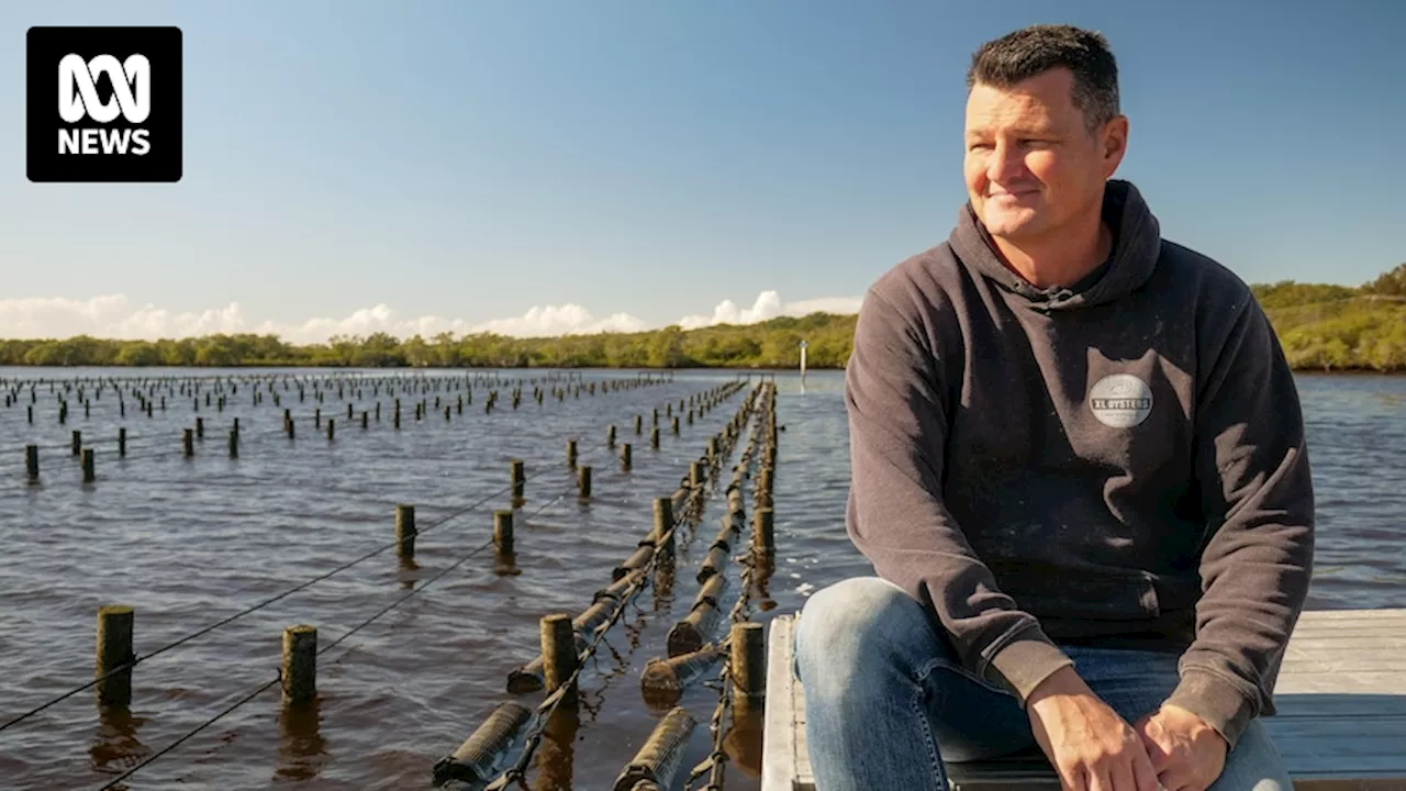 Oyster farmers turn to new species and other estuaries to survive QX disease