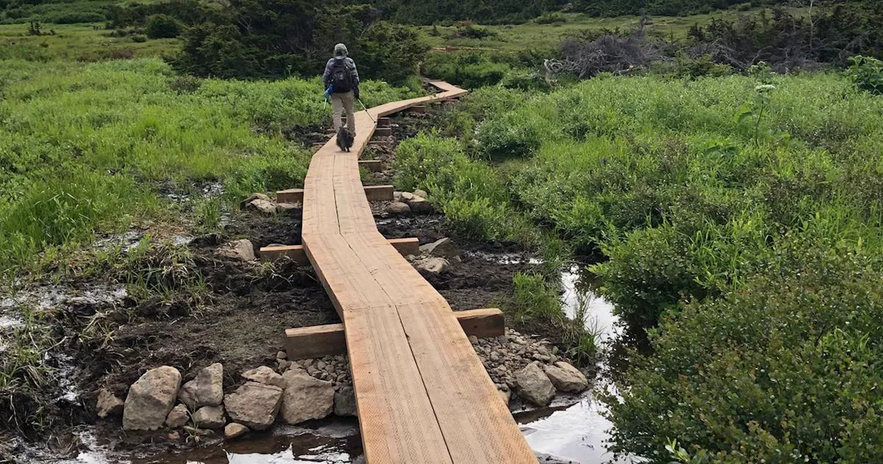 OPINION: Celebrating trail improvements in Anchorage’s ‘backyard wilderness’