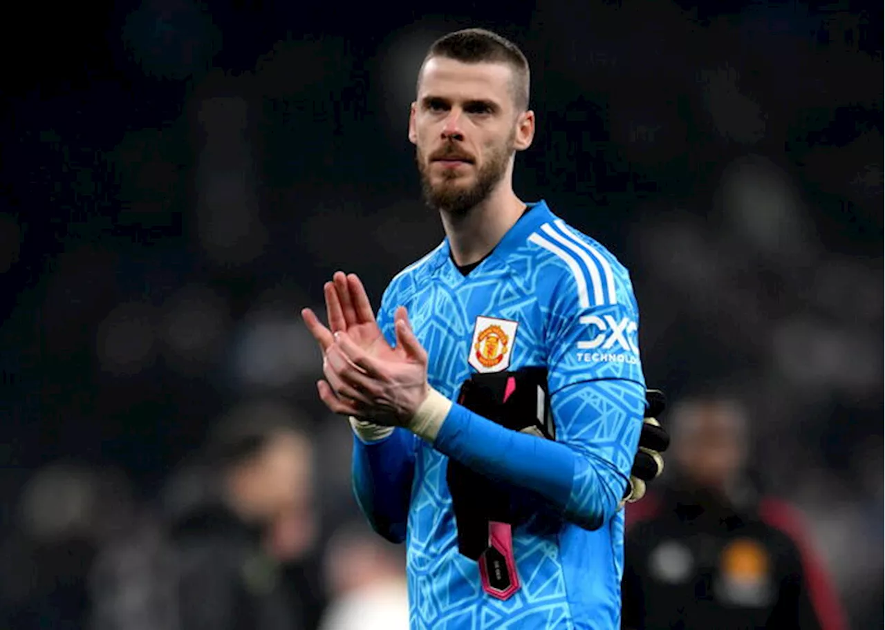 Ecco De Gea, tanti tifosi Fiorentina ad accoglierlo