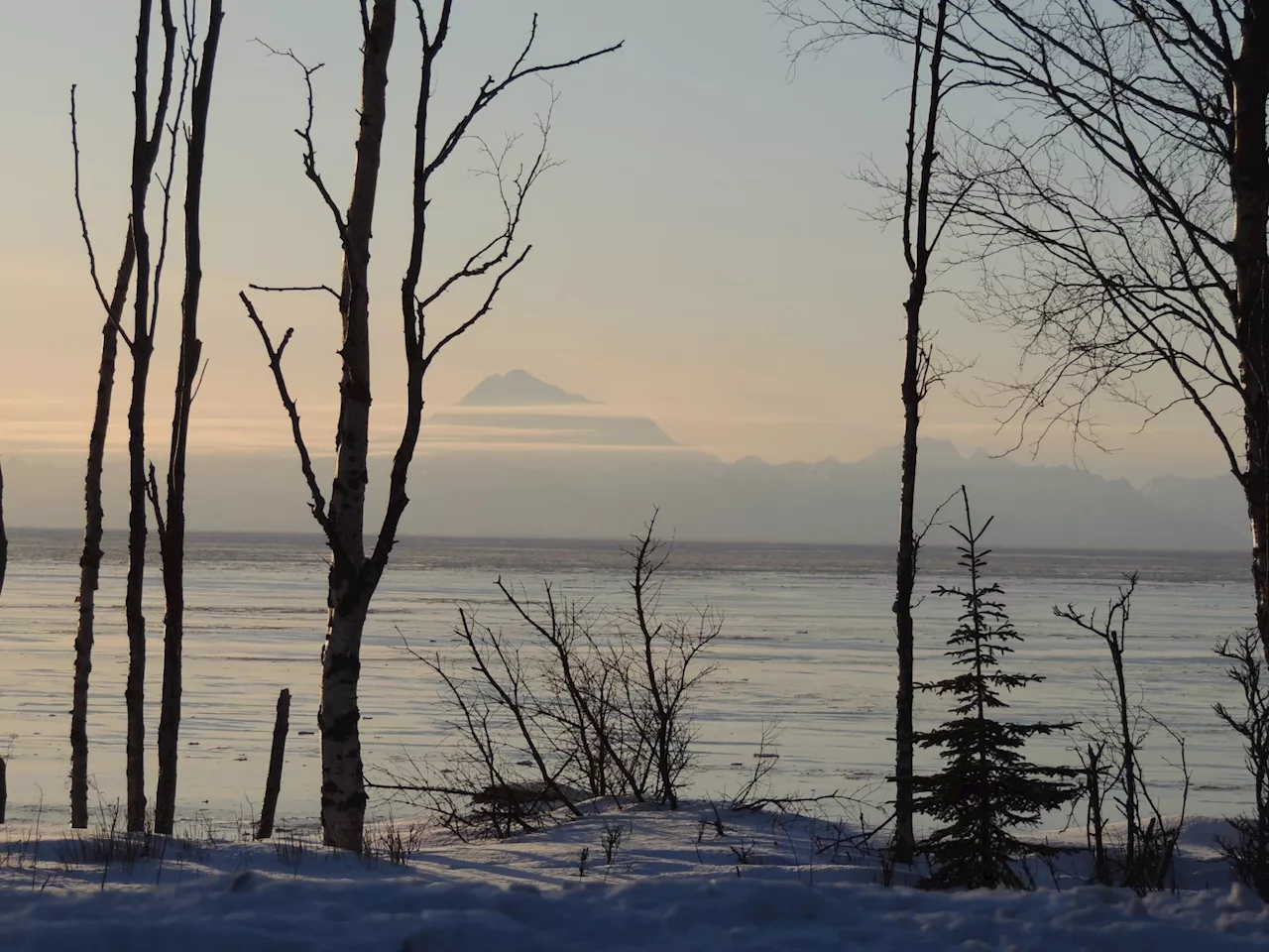 Texas company seeks LNG import facility in Cook Inlet