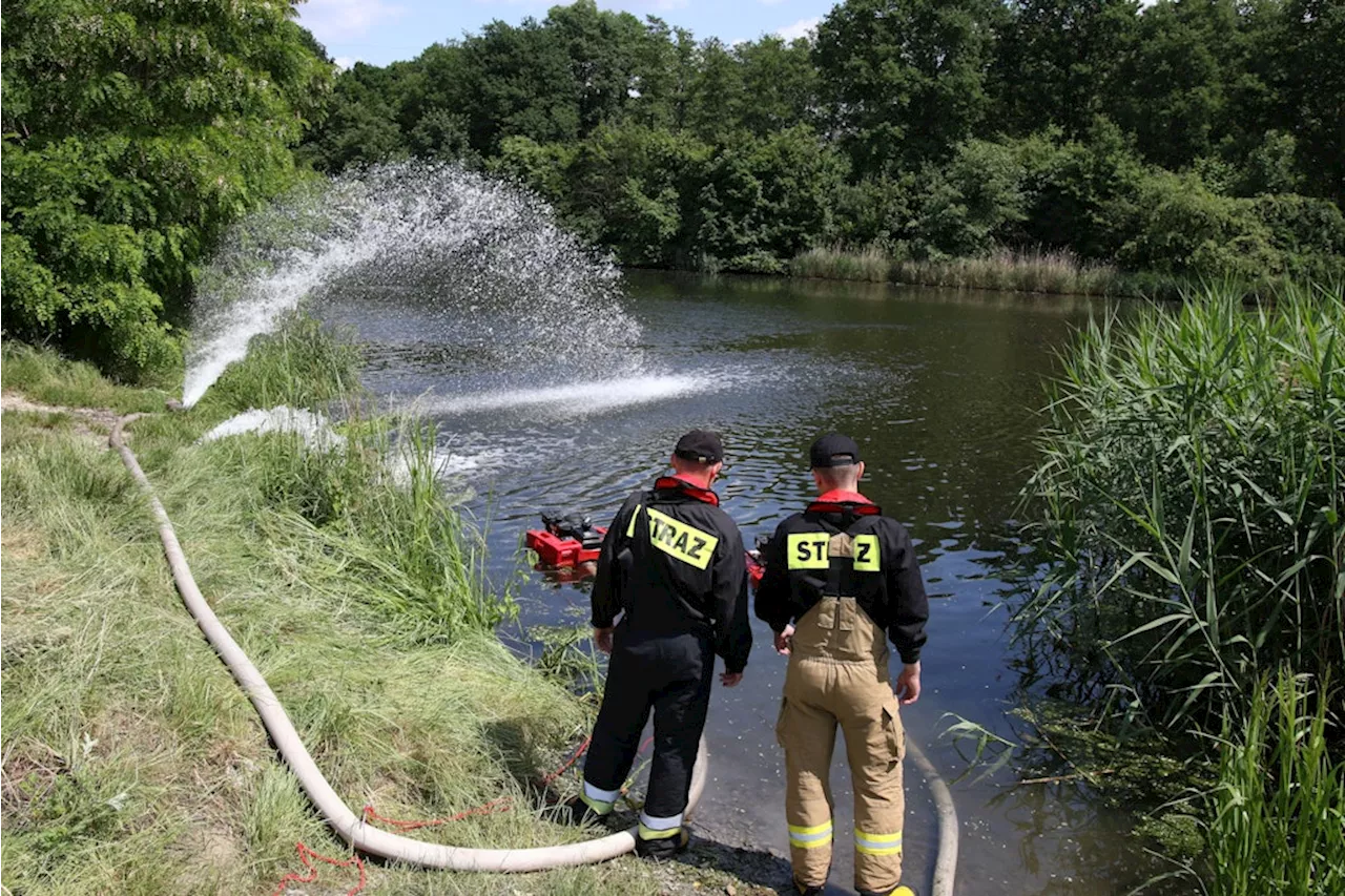 Polen: Tonnenweise tote Fische aus Stausee Dzierzno Duze geborgen