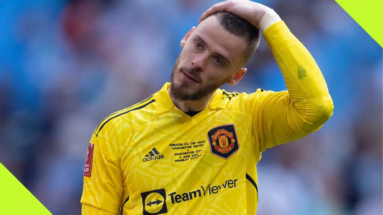 David De Gea: Ex Manchester United Star Finally Agrees to Join New Club