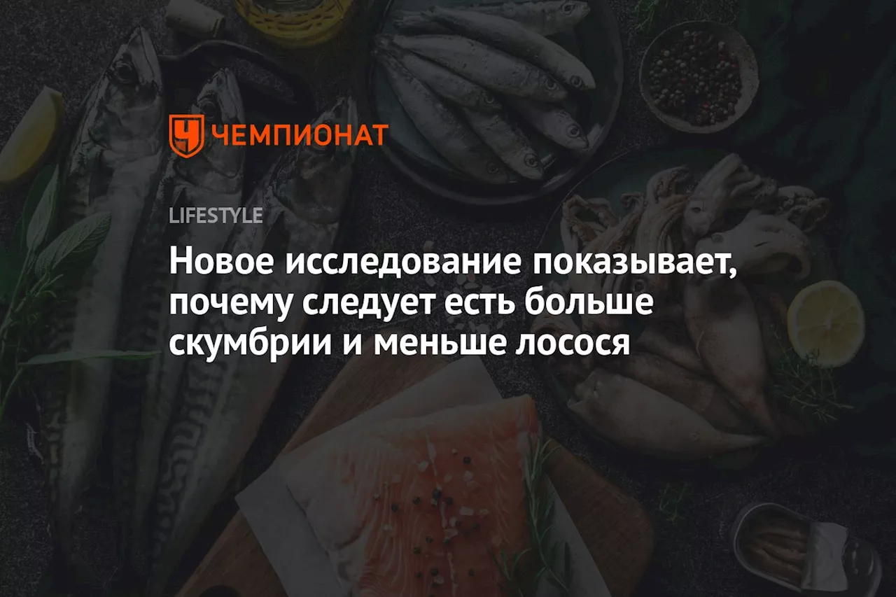 Новое исследование показывает, почему следует есть больше скумбрии и меньше лосося