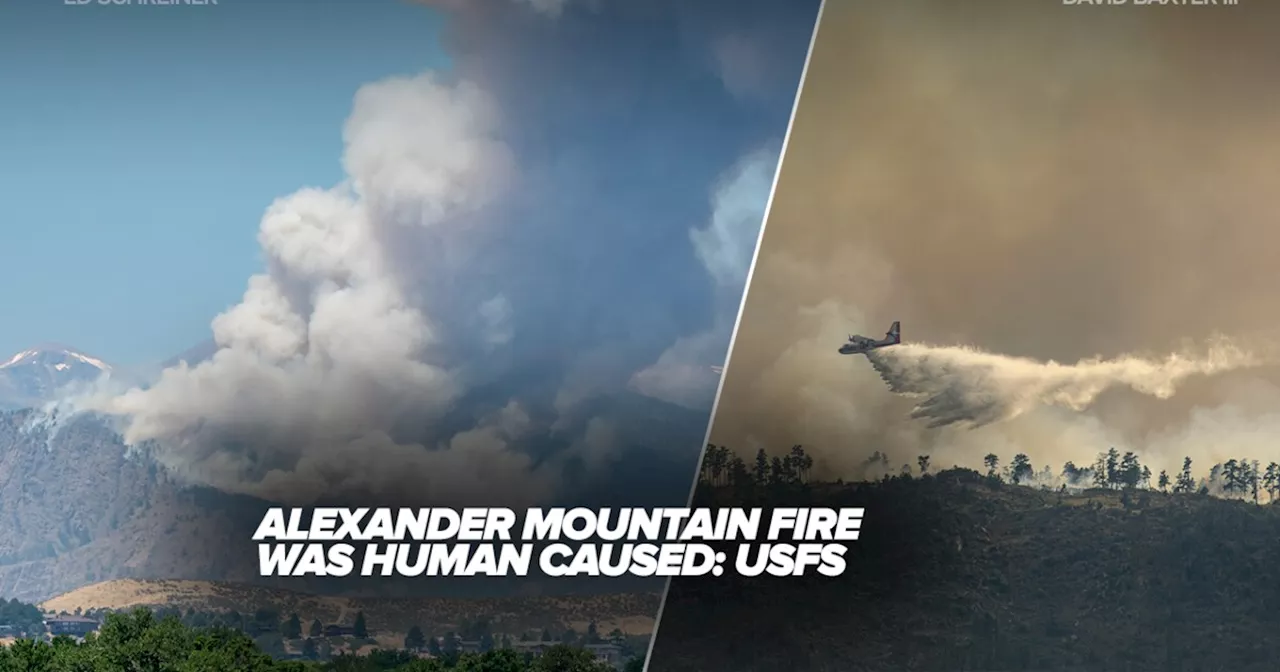 Alexander Mountain Fire was human caused, US Forest Service says. Now they need your help